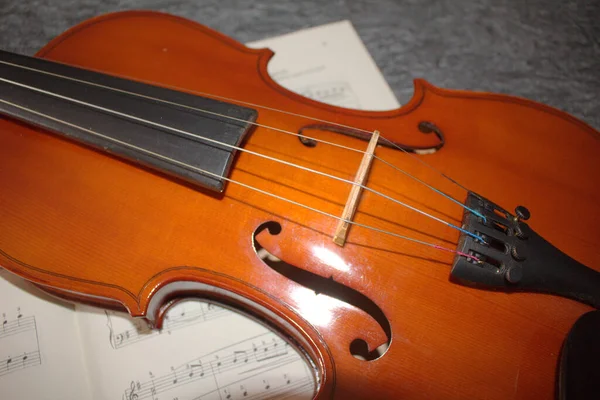Violino Close Violino Detalhes — Fotografia de Stock