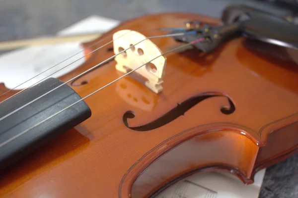 Βιολί Κοντινό Βιολί Λεπτομέρειες — Φωτογραφία Αρχείου