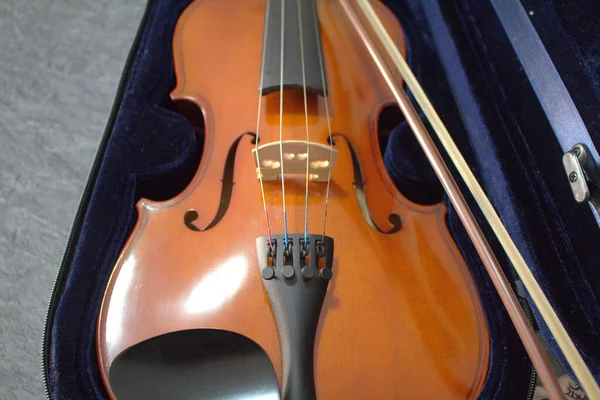 Violin Närbild Fiol Detaljer — Stockfoto