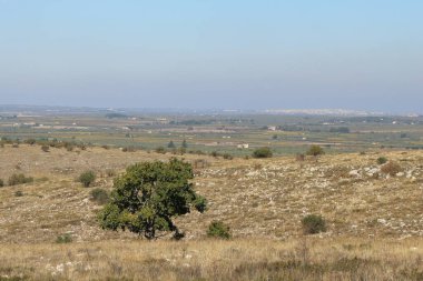 Quasano Alta Murgia Parkı. Murgia tepelerinin panoramik manzarası. Puglia, İtalya