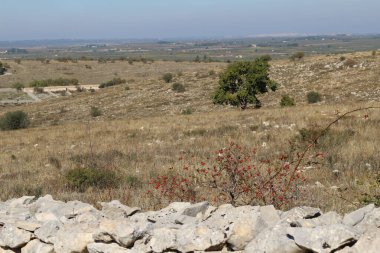 Quasano Alta Murgia Parkı. Murgia tepelerinin panoramik manzarası. Puglia, İtalya