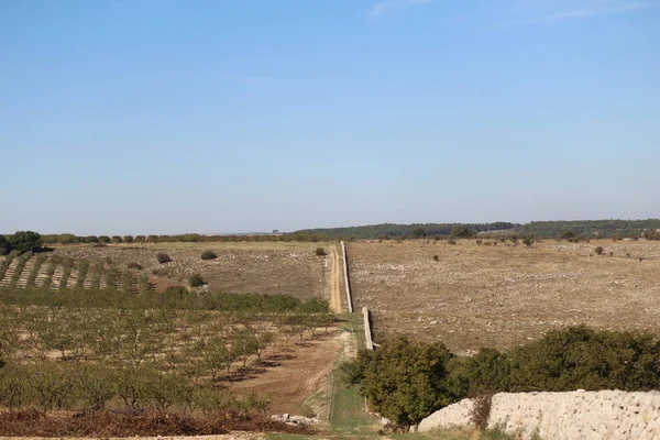 Quasano Alta Murgia Park Panorámás Kilátás Nyílik Murgia Dombjaira Puglia — Stock Fotó