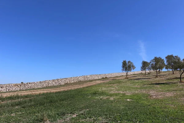 Quasano Alta Murgia Park Panorámás Kilátás Nyílik Murgia Dombjaira Puglia — Stock Fotó