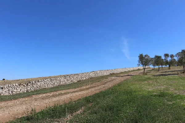 Quasano Alta Murgia Park Panorámás Kilátás Nyílik Murgia Dombjaira Puglia — Stock Fotó