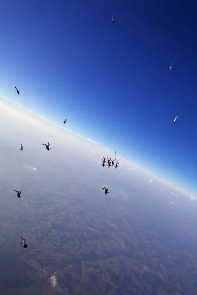 skydivers in free fall in beautiful blue sky