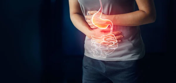 Kadın mide âdet dönemi, gastrik ülser, apandisit ya da gastrointestinal sistem hastalığı mide ağrısı nedenleri acı acı dokunmadan. Sağlık ve sağlık sigortası kavramı