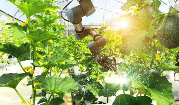 Intelligence Artificielle Polliniser Les Fruits Légumes Avec Robot Détection Chimique — Photo