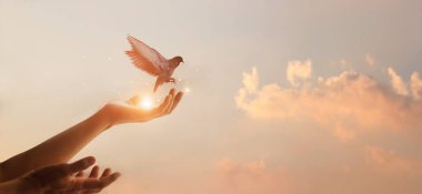 Günbatımında doğanın tadını çıkaran özgür kuş ve dua eden kadın, umut kavramı. 
