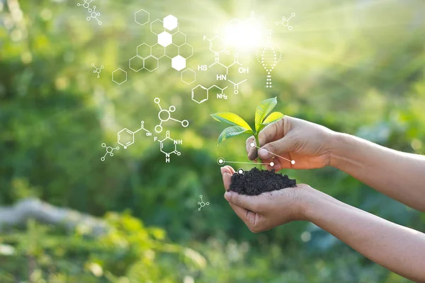 Biologielabor Natur und Wissenschaft, Pflanzen mit biochemischer Struktur auf grünem Hintergrund. — Stockfoto