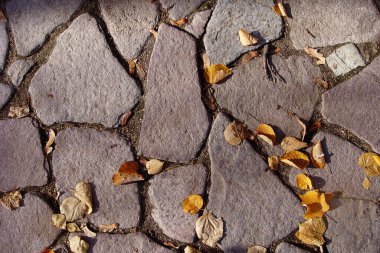 Büyük taşlı, farklı şekillerde, sarı yapraklı bir ev.