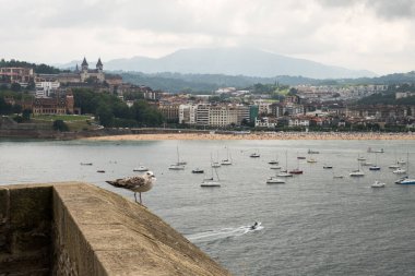  Genç sarı bacaklı martı (Larus michahellis), San Sebastien, Bask ülkesi, İspanya