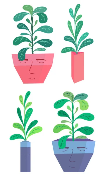 İç mekandaki bitkiler insan yüzü çizilmiş vazoda ve beyaza izole edilmiş vazoda. Tırman. Evde bahçıvanlık. Düz stil vektör çizimi. Moda renkleri.