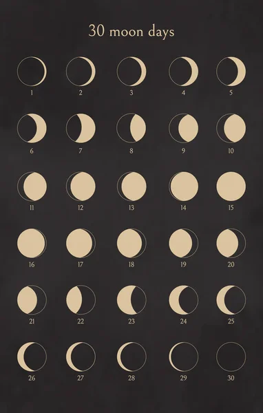 Fases Lunares Definidas Calendário Dias Lua Coleção Elementos Design Para — Vetor de Stock