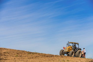 Küçük bir çiftlikte mısır ekmek.