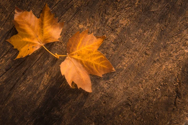 Dried Autumn Leaves Aged Wooden Background Writing Space — Stock Photo, Image