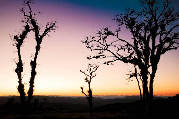 Amanhecer Com Árvores Silhuetas Com Céu Colorido Sol Entre Nuvens — Fotografia de Stock