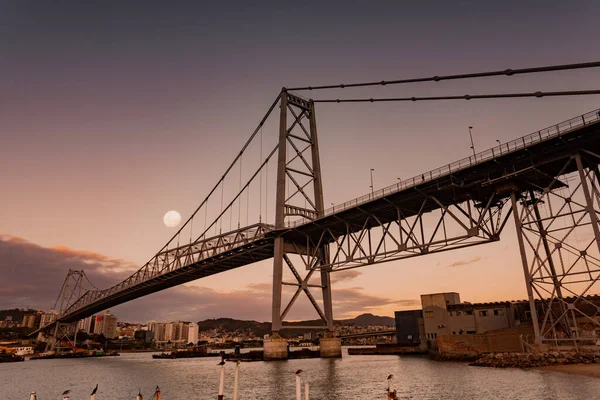 Новый Мост Hercilio Luz Florianopolis Санта Катарина Бразилия Изображение Континента — стоковое фото