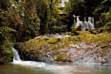 Güney eyaletindeki Santa Catarina Brezilya 'da Atlantik Ormanı Şelalesi