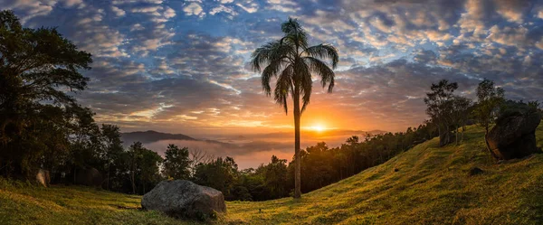 Dawn Silhouetted Trees Colorful Sky Sun Clouds — Stock Photo, Image