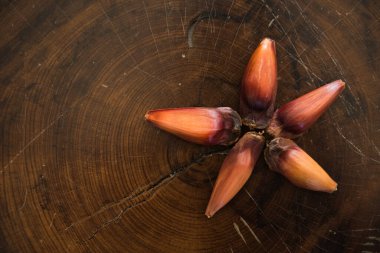 Ahşap arkaplanda çam ağacı meyvesi.