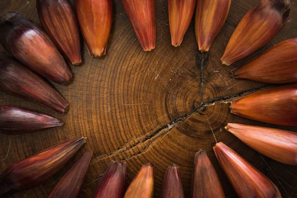 Ahşap arkaplanda çam ağacı meyvesi.