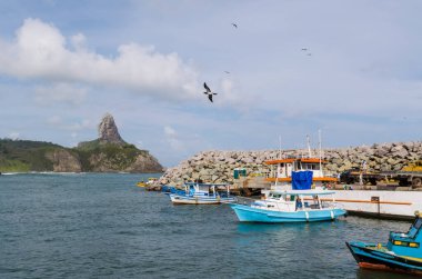 Fernando de Noronha Bölgesi, Pernambuco Eyaleti, Brezilya