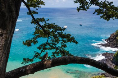 Fernando de Noronha Bölgesi, Pernambuco Eyaleti, Brezilya