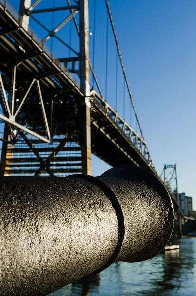 Hercilio Luz Köprüsü, Santa Catarina eyaletinin kartpostalı, çelik kablo köprüsü..