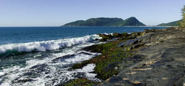 Пляж Morro Das Pedras Остров Флорианополис Бразилия Югу Острова — стоковое фото