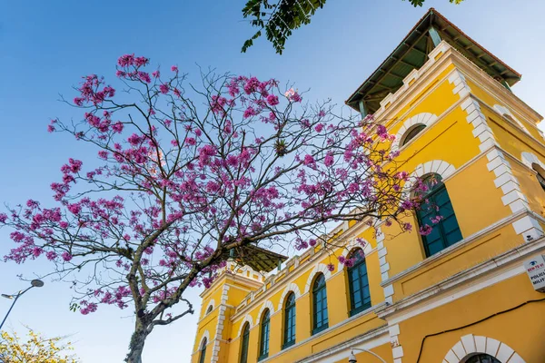 Nascer Sol Colorido Atrás Ponte Herclio Luz Florianpolis — Fotografia de Stock