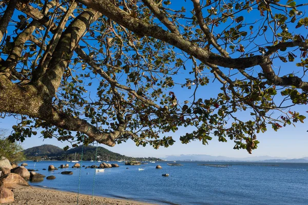 Santo Antonio de Lisboa 'nın deniz önü, Florianopolis, Brezilya, mavi gökyüzü