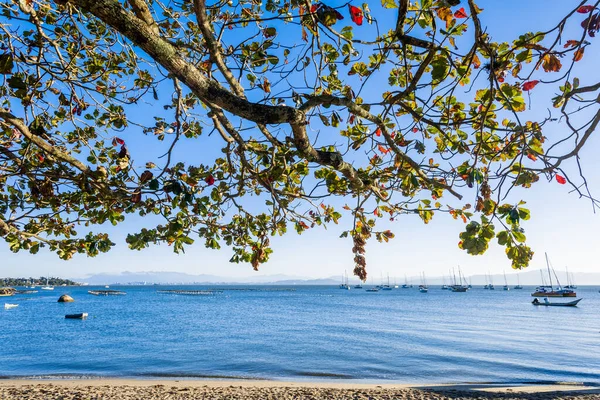 Θάλασσα Μπροστά Από Santo Antonio Lisboa Florianopolis Βραζιλία Ημέρα Γαλάζιο Royalty Free Φωτογραφίες Αρχείου