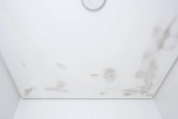 Début Accumulation Moisissures Sur Plafond Salle Bain Toujours Avec Une Image En Vente