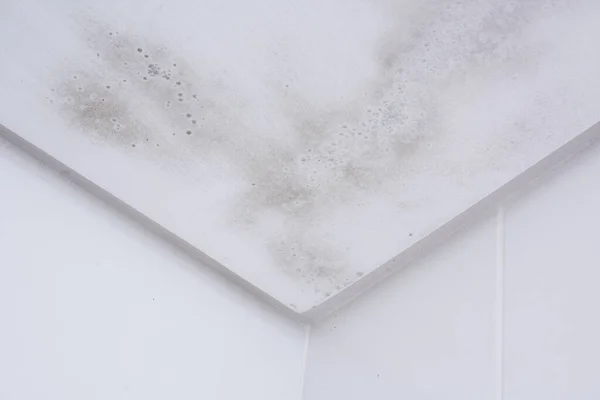 Début Accumulation Moisissures Sur Plafond Salle Bain Toujours Avec Une Images De Stock Libres De Droits