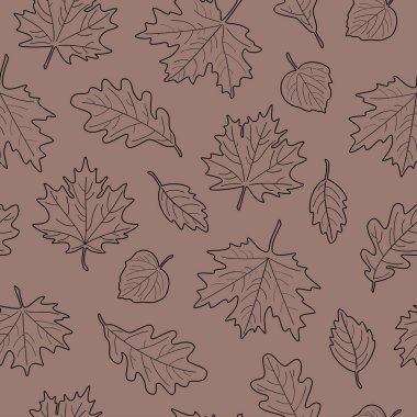 Yaprakların kusursuz deseni. Maple, Linden, meşe ve huş yaprakları arka planda.