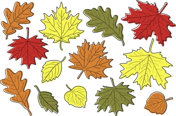 Vector Illustration Set Bright Realistic Autumn Leaves Fall Leaves Background — Stock Vector