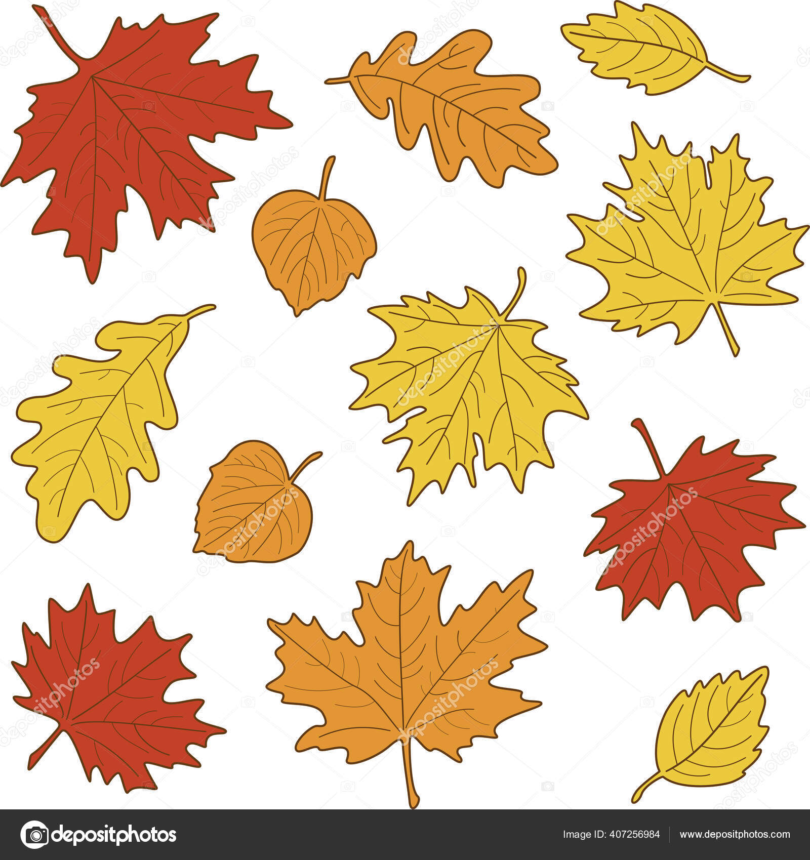 ベクトルイラスト 明るい現実的な紅葉のセット 秋は背景を残す メープル リンデン オーク 白樺の葉 ストックベクター C Mushmala