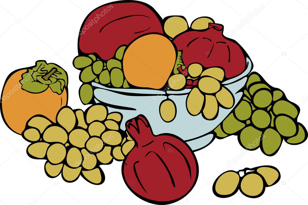 Vector still life illustration of ripe fruits in bowl. Persimmons, pomegranate and grapes. Decorative illustration concept for fruit store.