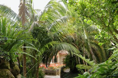 Bahçedeki ağaçlar ve yeşil bitkiler