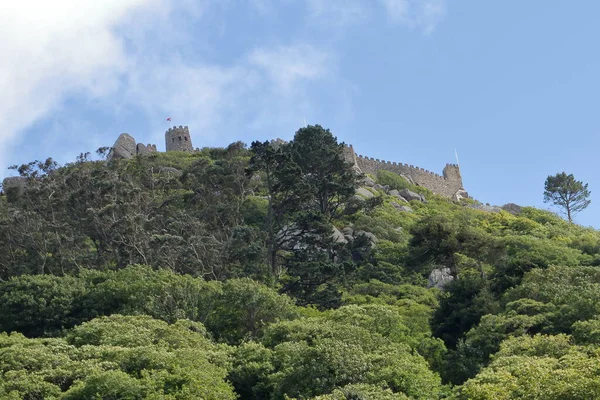 Naturaleza Verde Con Muro Piedra Castillo — Foto de Stock