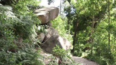 Parkta büyük kayalar ve yeşil doğa.