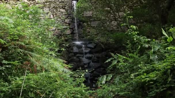Cachoeira Uma Parede Pedra Parque — Vídeo de Stock