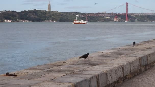 Río Tajo Pasa Por Lisboa — Vídeos de Stock