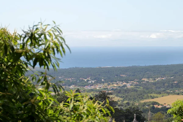 Sintra 'da deniz ve doğa manzarası.