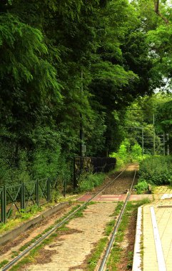 Şehrin ortasındaki demiryolu.