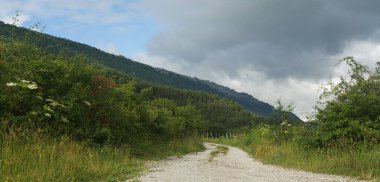 Vadinin ortasında bir yol