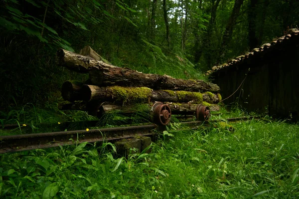 Oude Spoorweg Het Bos — Stockfoto