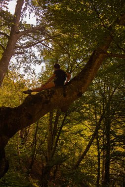Genç adam bir ağacın üstündeki ormanda.