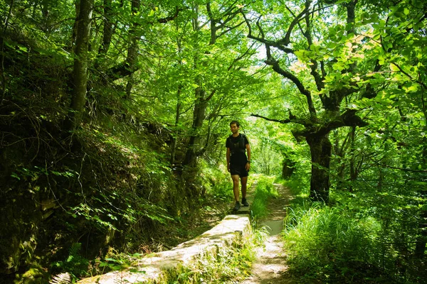 Genç adam dağlarda yürüyüş yapıyor.