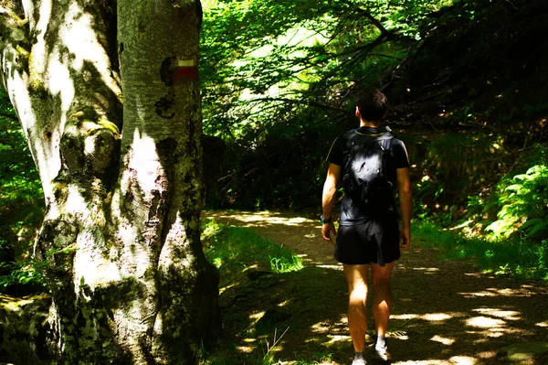 Jovem Caminhando Nas Montanhas — Fotografia de Stock